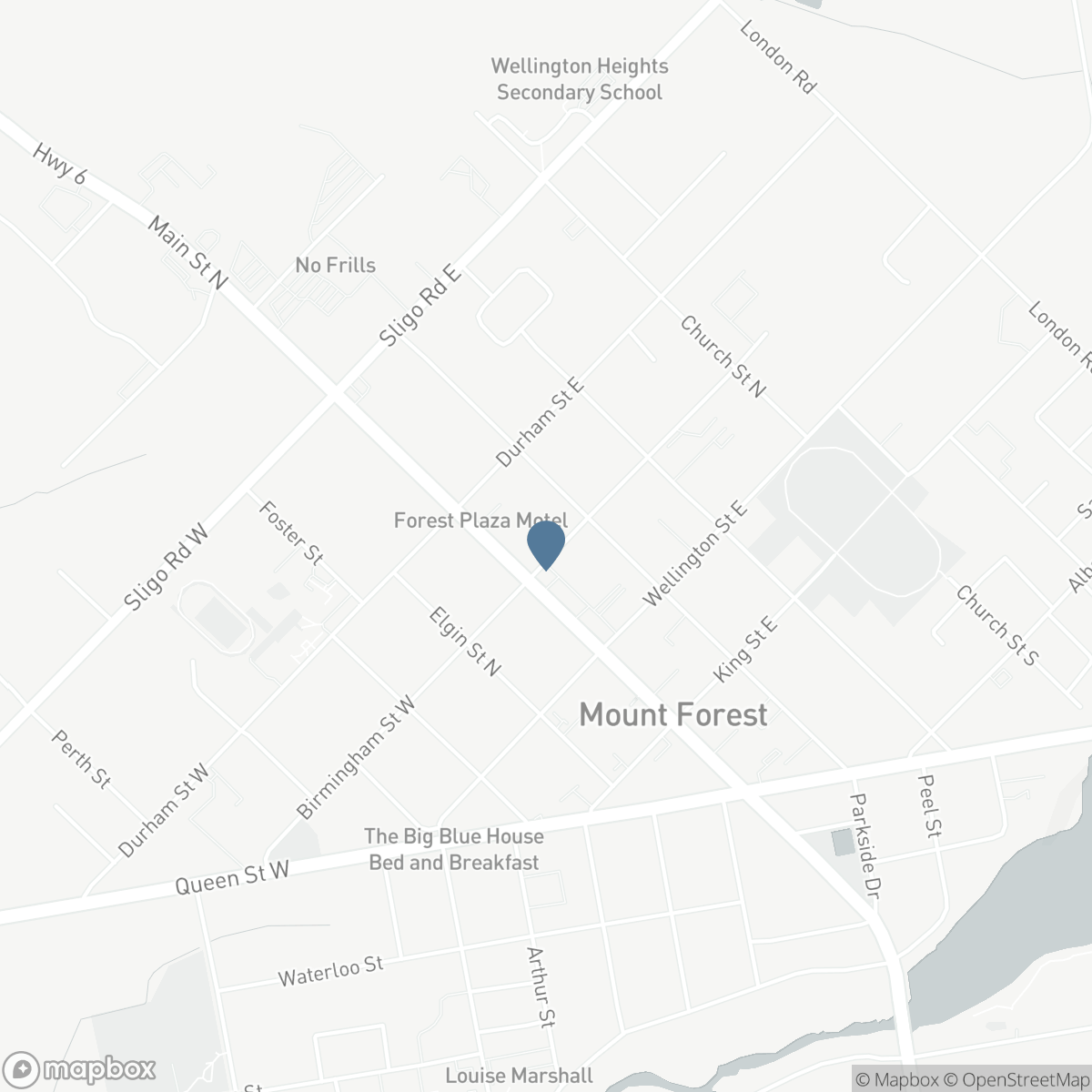 173 BIRMINGHAM STREET E, Mount Forest, Ontario N0G 2L2